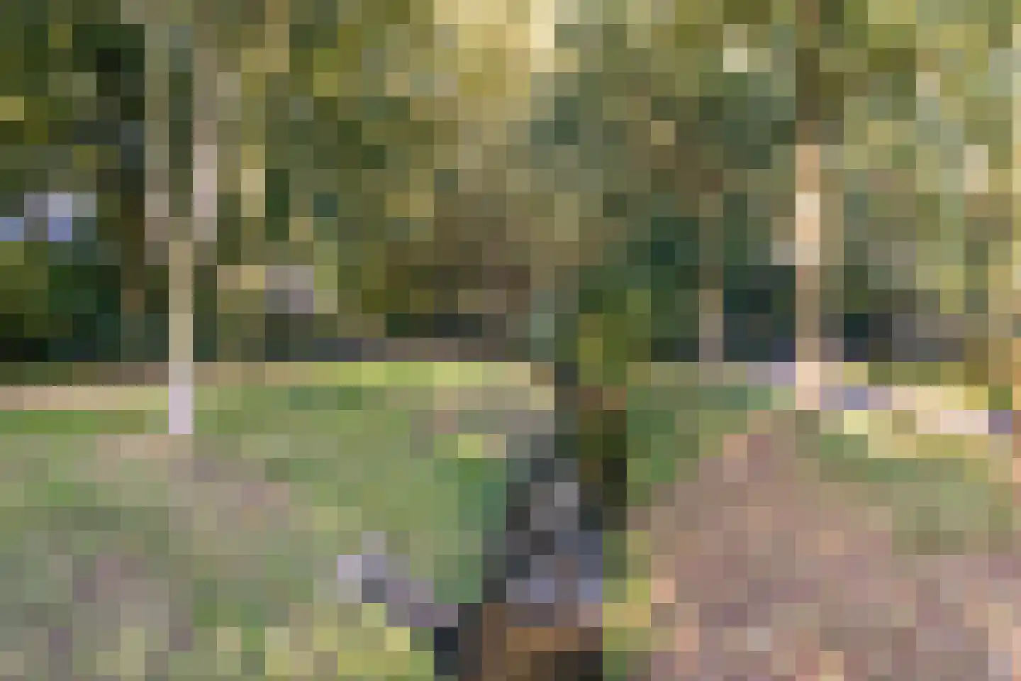 Sportlaan Driene 313 Hengelo thumbnail 30