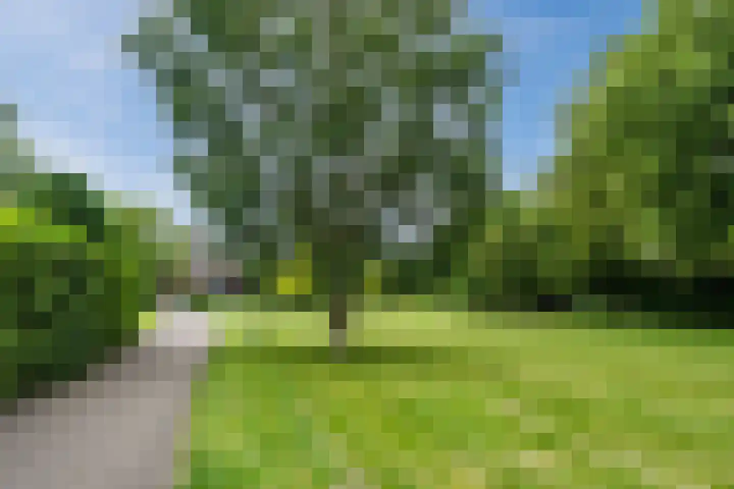 Sportmanstraat 7 Oegstgeest thumbnail 46