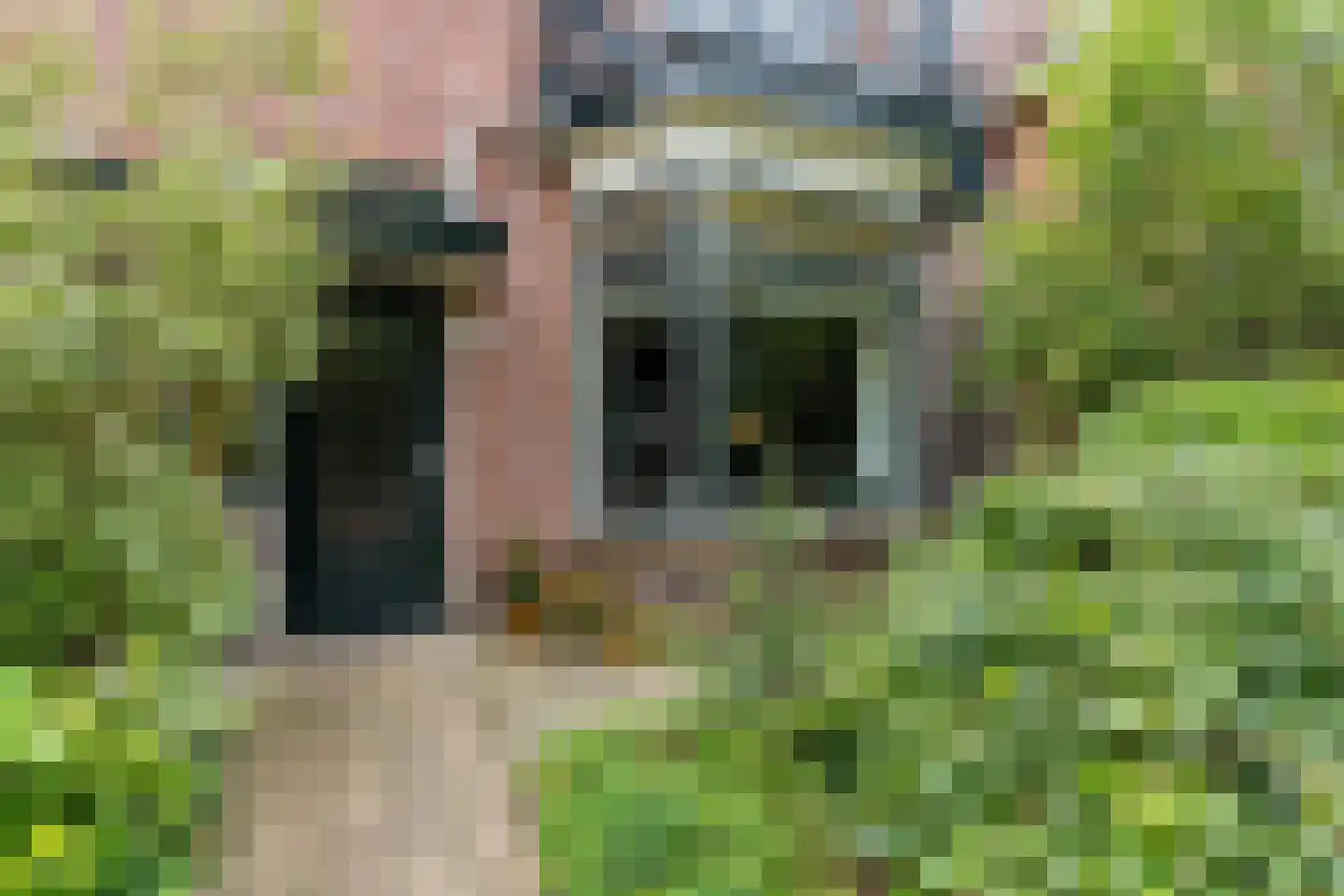 Sportmanstraat 7 Oegstgeest thumbnail 5