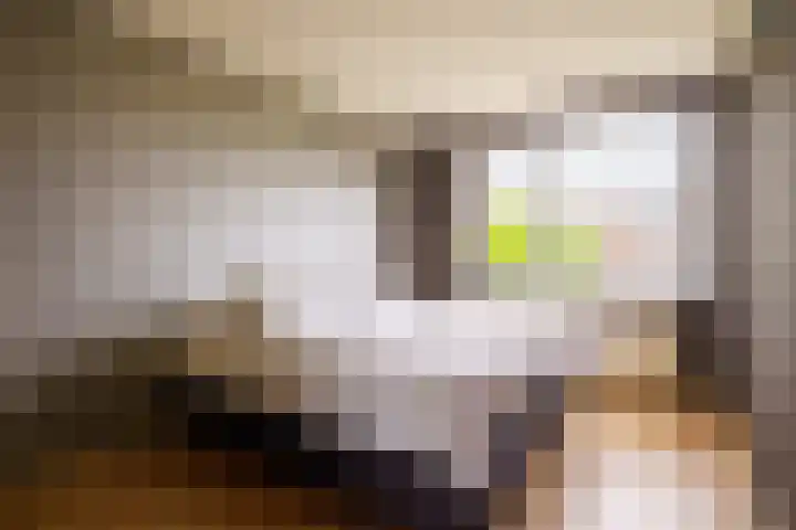 Sportmark 4 Almere thumbnail 13