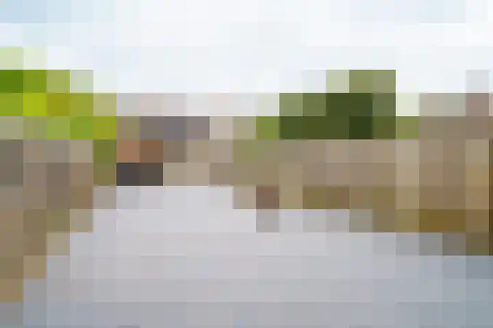 Sportmark 4 Almere thumbnail 21