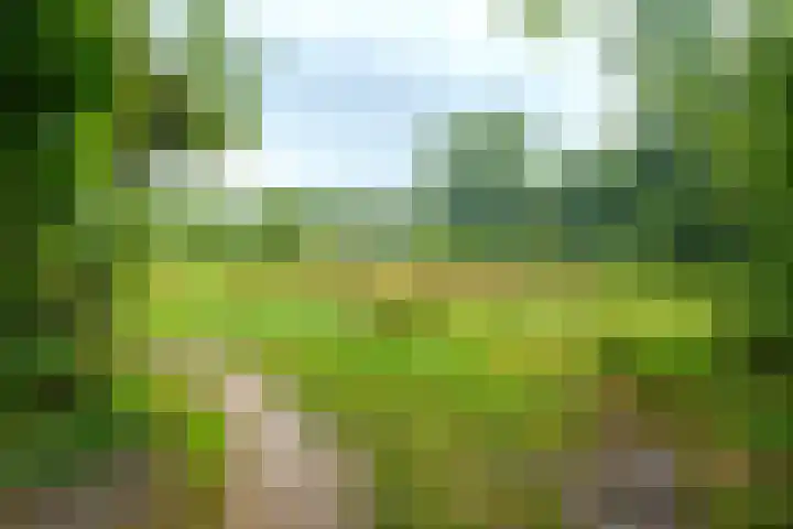 Sportmark 4 Almere thumbnail 30