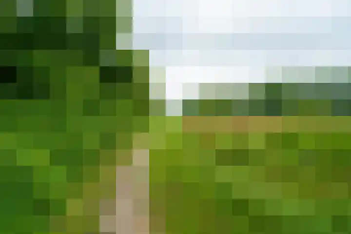 Sportmark 4 Almere thumbnail 31