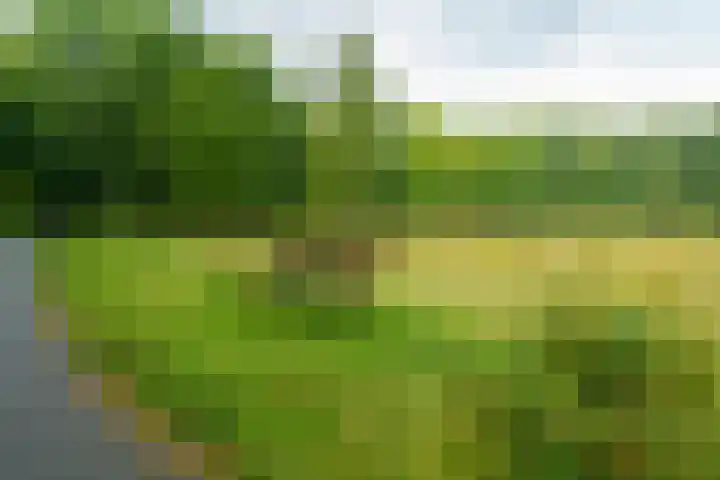 Sportmark 4 Almere thumbnail 32