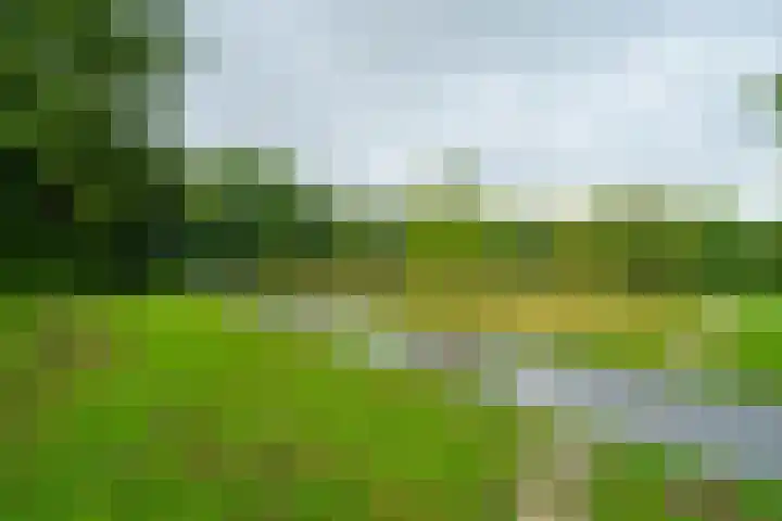 Sportmark 4 Almere thumbnail 33