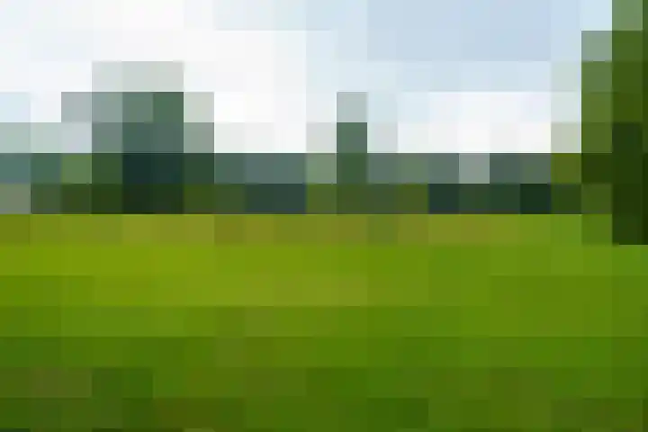 Sportmark 4 Almere thumbnail 34