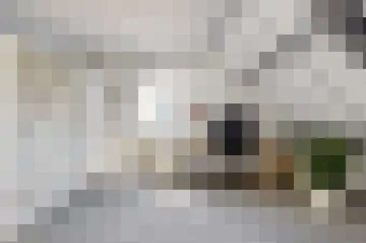 Sportparklaan 1 a Tiel thumbnail 20
