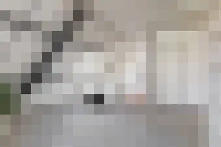 Sportparklaan 1 a Tiel thumbnail 22