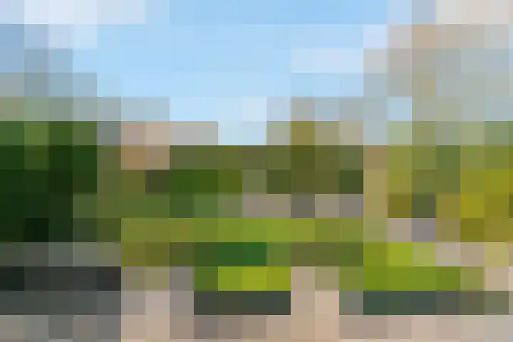 Sportparklaan 1 a Tiel thumbnail 31