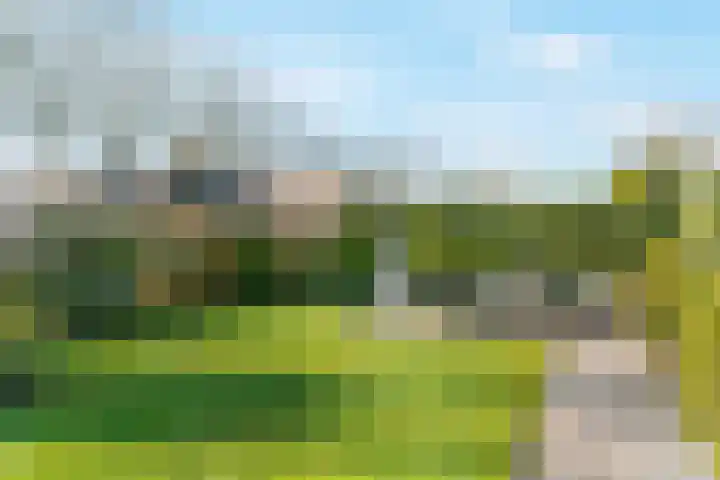 Sportparklaan 1 a Tiel thumbnail 32
