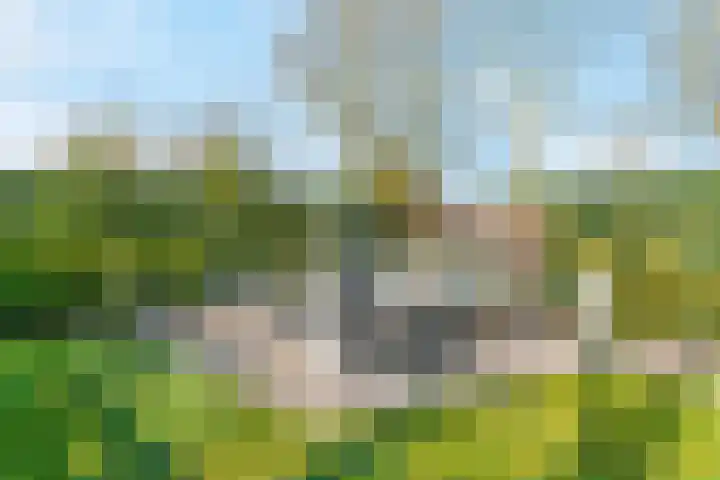 Sportparklaan 1 a Tiel thumbnail 33