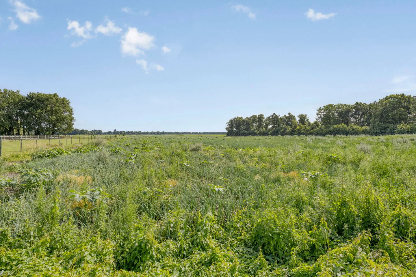 Sportparklaan 1 Schoonoord thumbnail 50