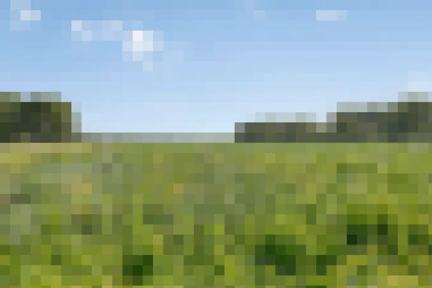 Sportparklaan 1 Schoonoord thumbnail 50