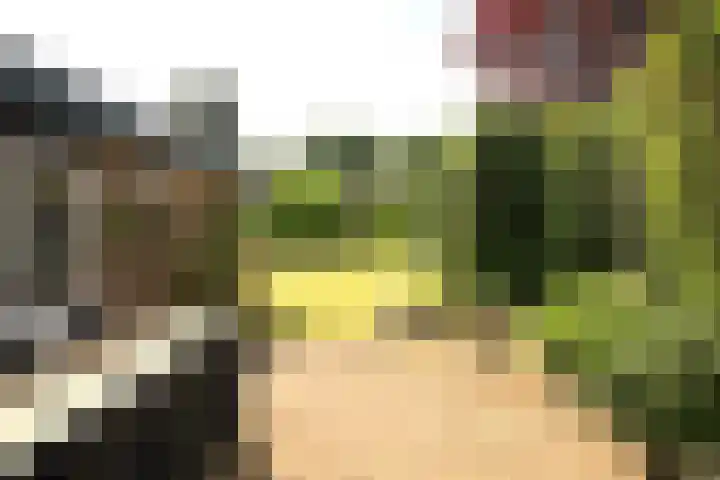 Sportparklaan 10 Heel thumbnail 25