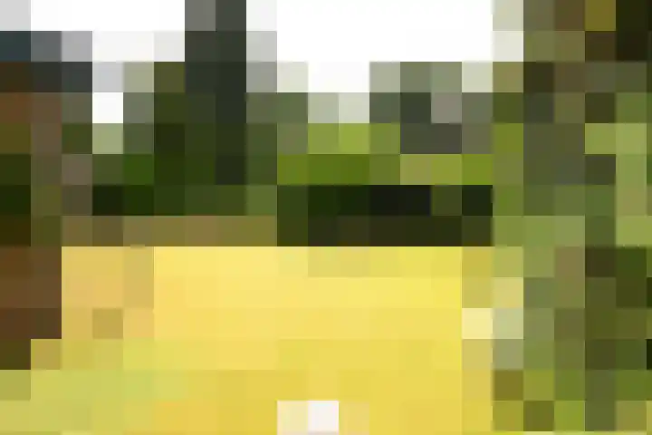 Sportparklaan 10 Heel thumbnail 26