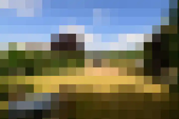 Sportparklaan 10 Heel thumbnail 28