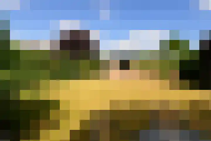 Sportparklaan 10 Heel thumbnail 30