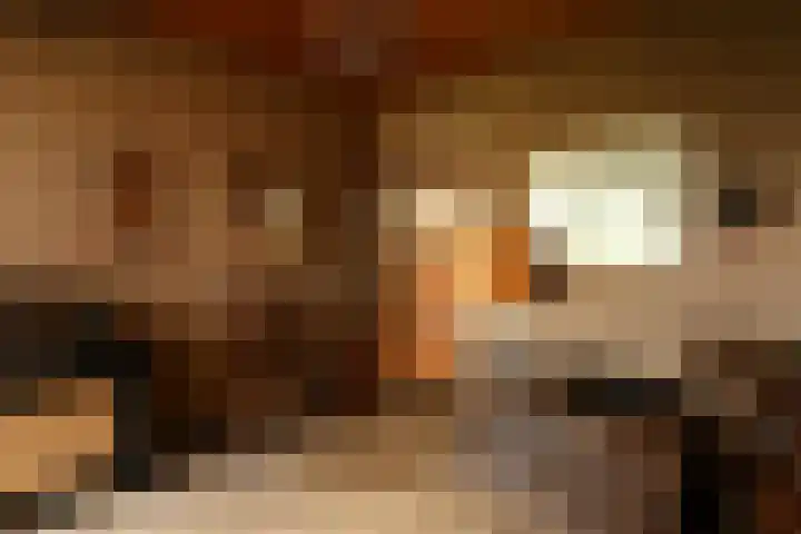 Sportparklaan 10 Heel thumbnail 4