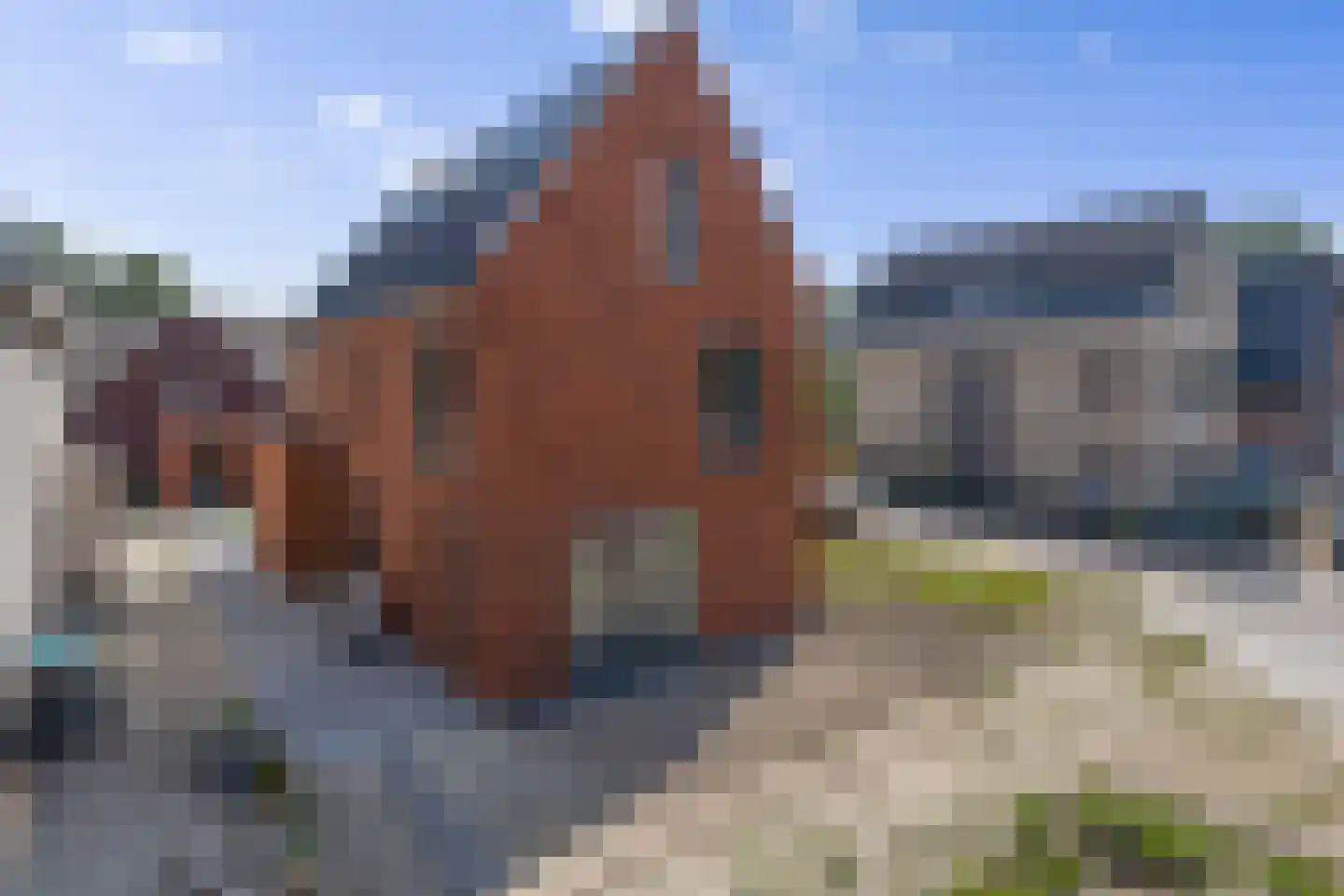 Sportparklaan 10 Oudenbosch thumbnail 53