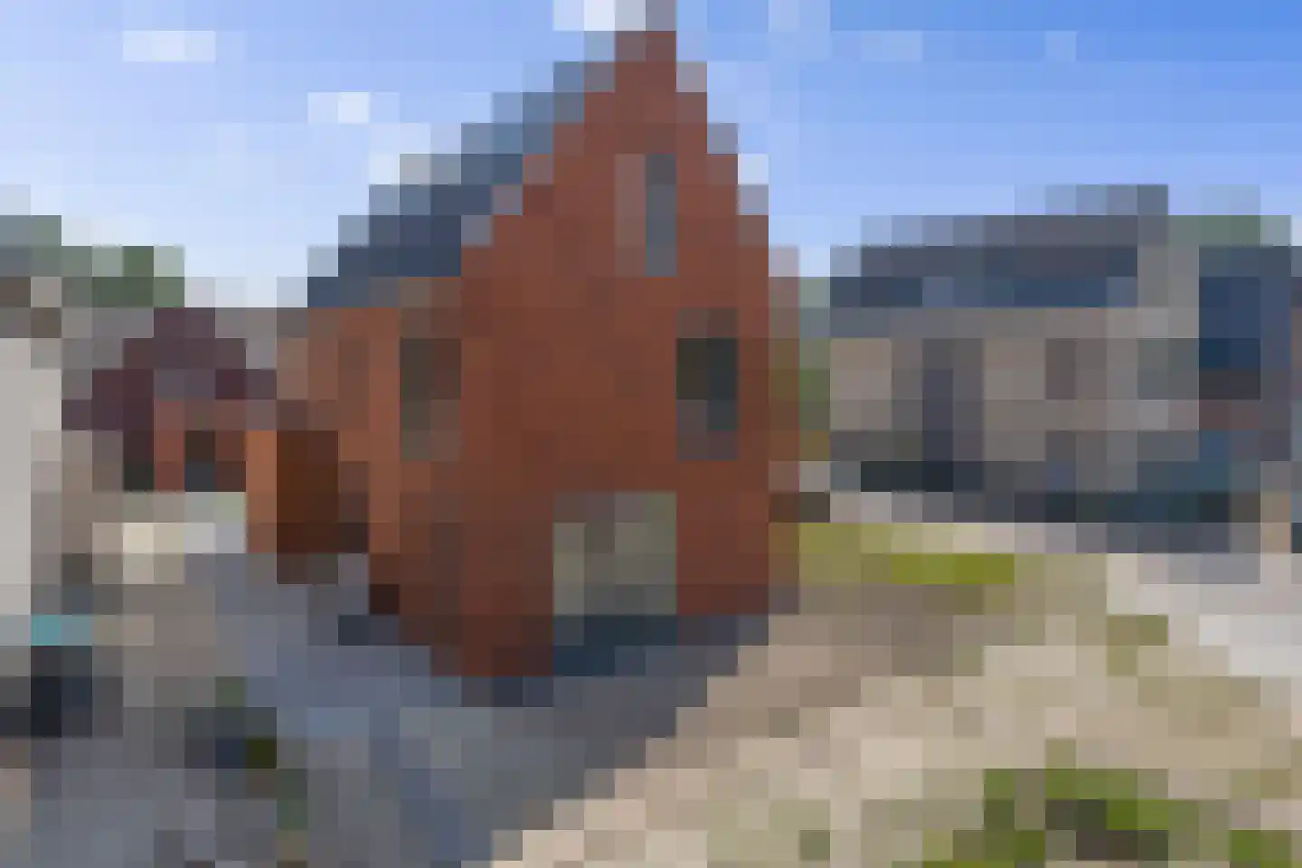 Sportparklaan 10 Oudenbosch thumbnail 54