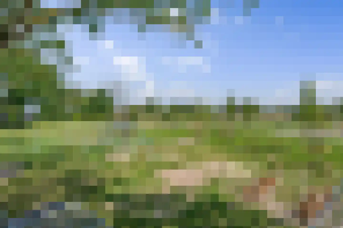 Sportparklaan 10 Oudenbosch thumbnail 54