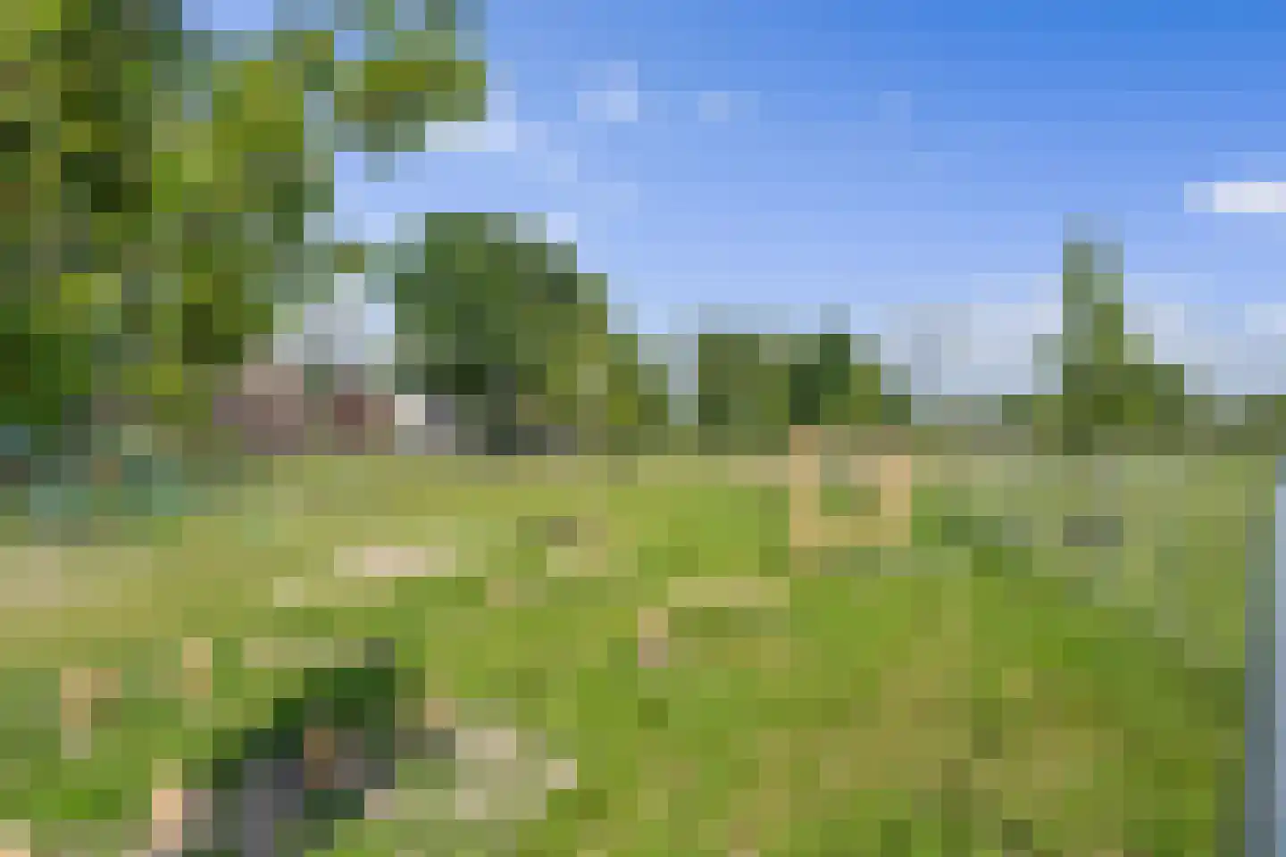 Sportparklaan 10 Oudenbosch thumbnail 55