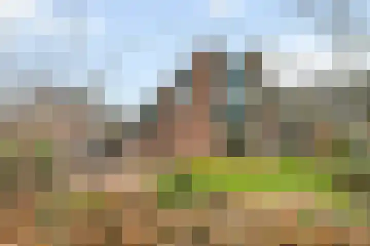 Sportparklaan 11 in Tiel