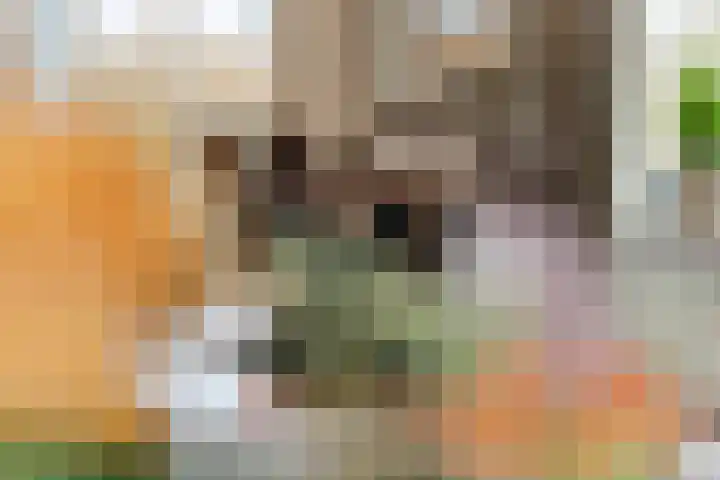 Sportparklaan 11 Tiel thumbnail 15