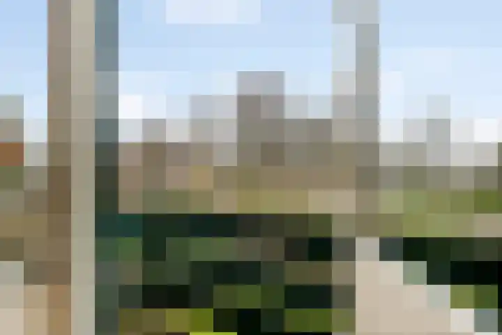 Sportparklaan 11 Tiel thumbnail 31