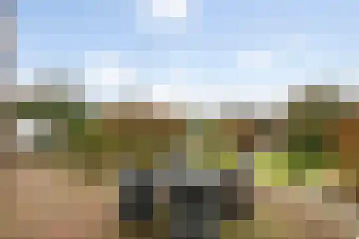 Sportparklaan 11 Tiel thumbnail 41