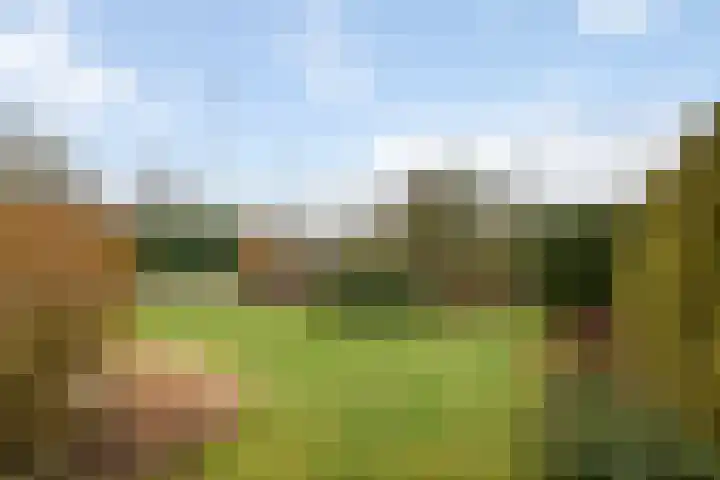 Sportparklaan 11 Tiel thumbnail 43