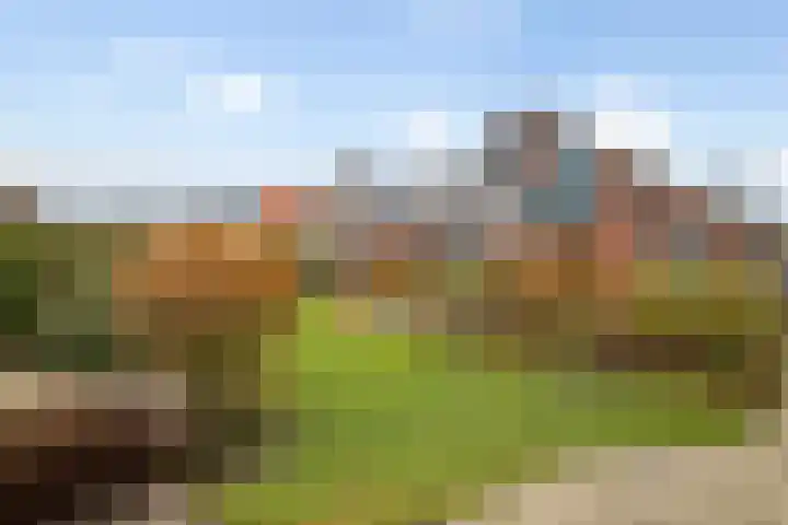 Sportparklaan 11 Tiel thumbnail 45