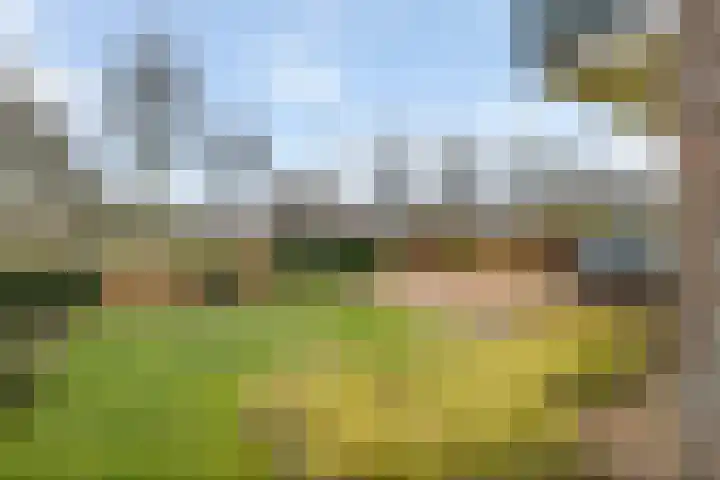 Sportparklaan 11 Tiel thumbnail 46