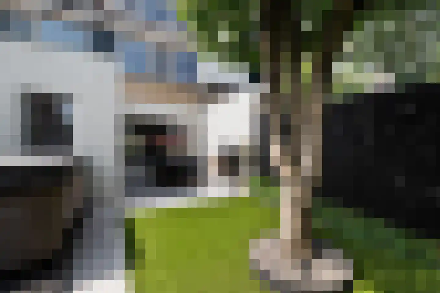 Sportparklaan 12 Renswoude thumbnail 33