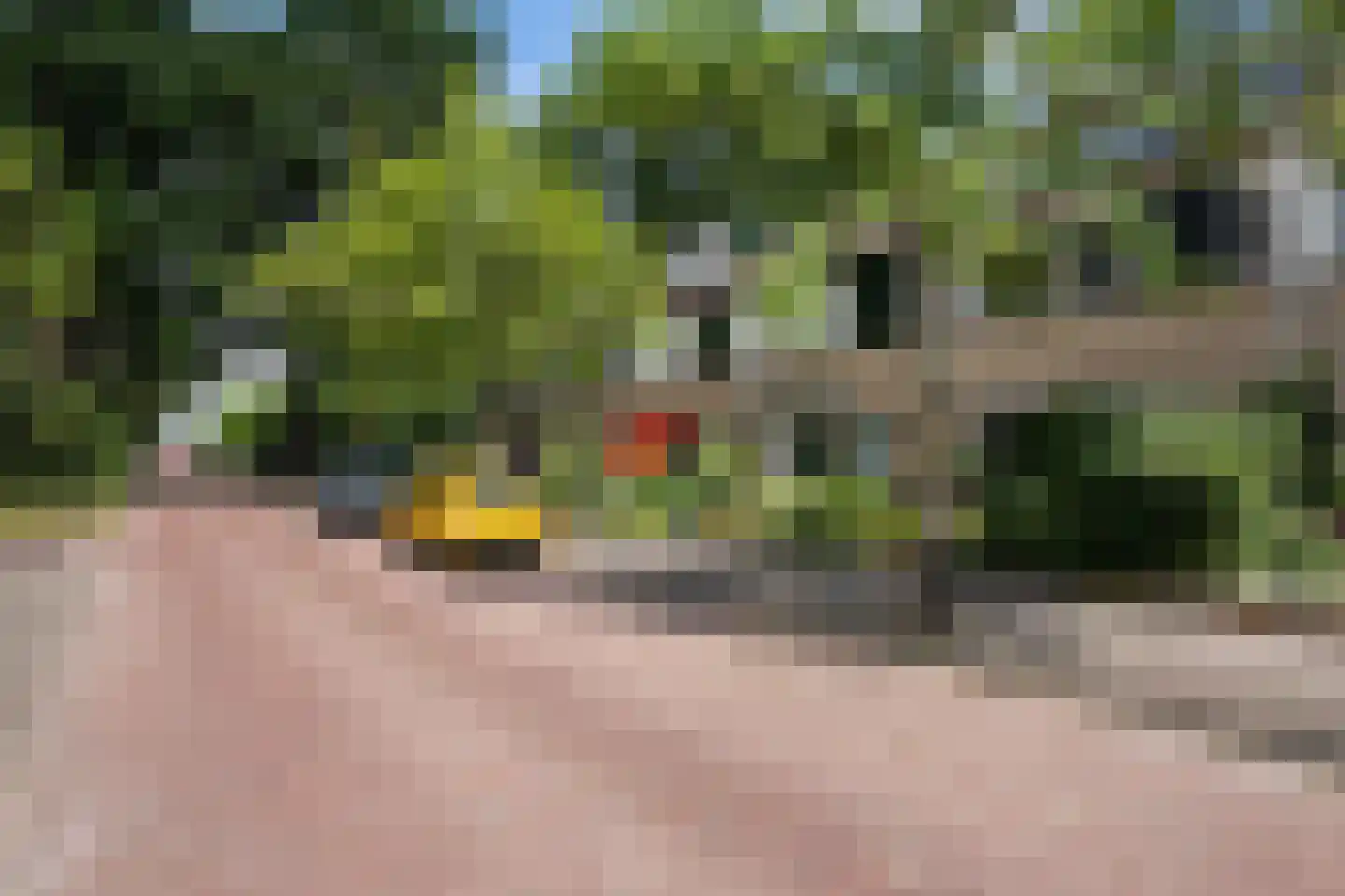 Sportparklaan 12 Renswoude thumbnail 37