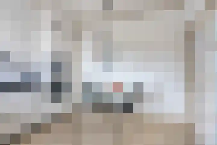 Sportparklaan 17 Heel thumbnail 21