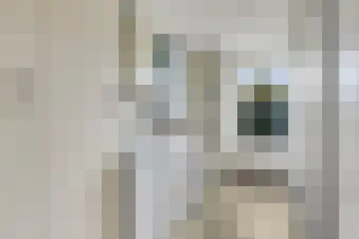 Sportparklaan 17 Heel thumbnail 32