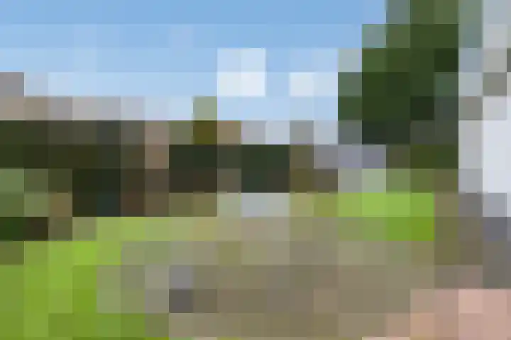 Sportparklaan 17 Heel thumbnail 38