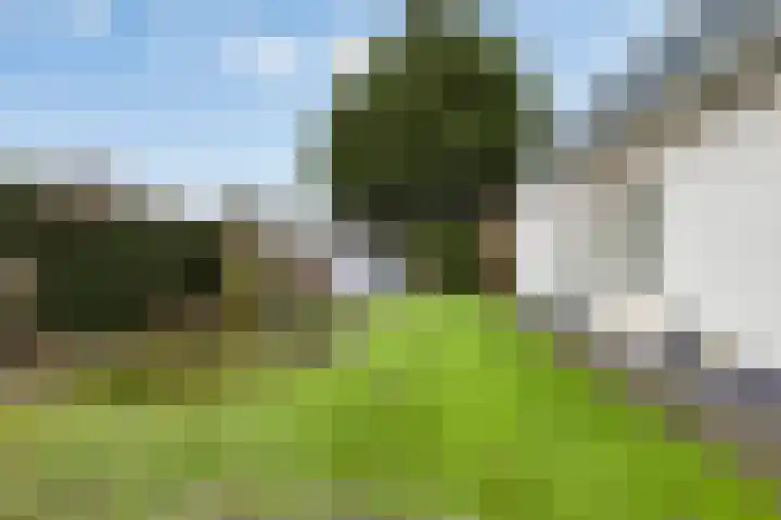 Sportparklaan 17 Heel thumbnail 39