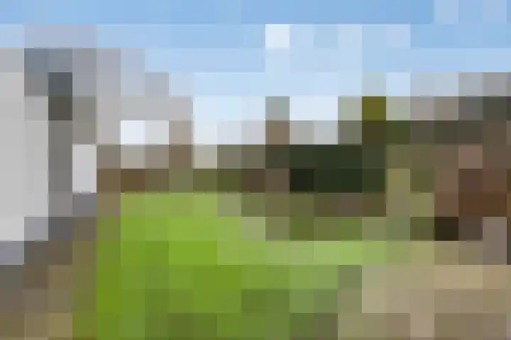 Sportparklaan 17 Heel thumbnail 40