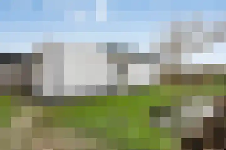 Sportparklaan 17 Heel thumbnail 42