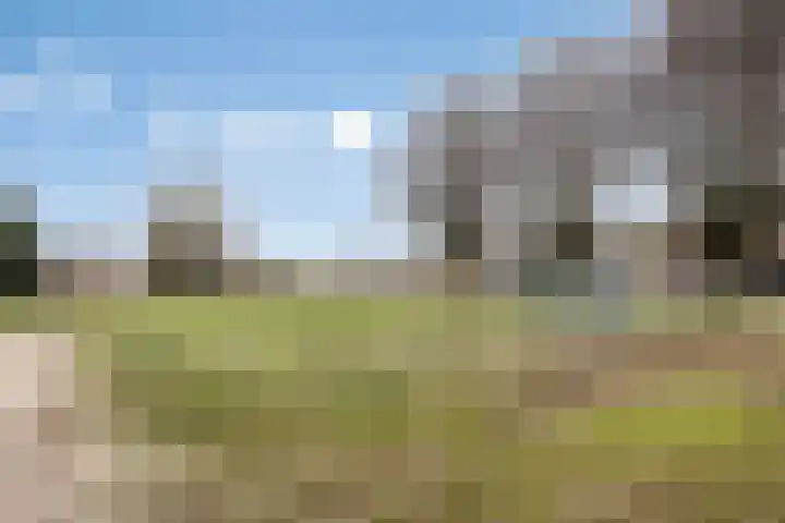 Sportparklaan 17 Heel thumbnail 51