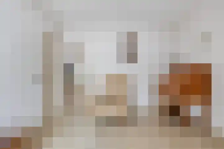 Sportparklaan 17 Heel thumbnail 8