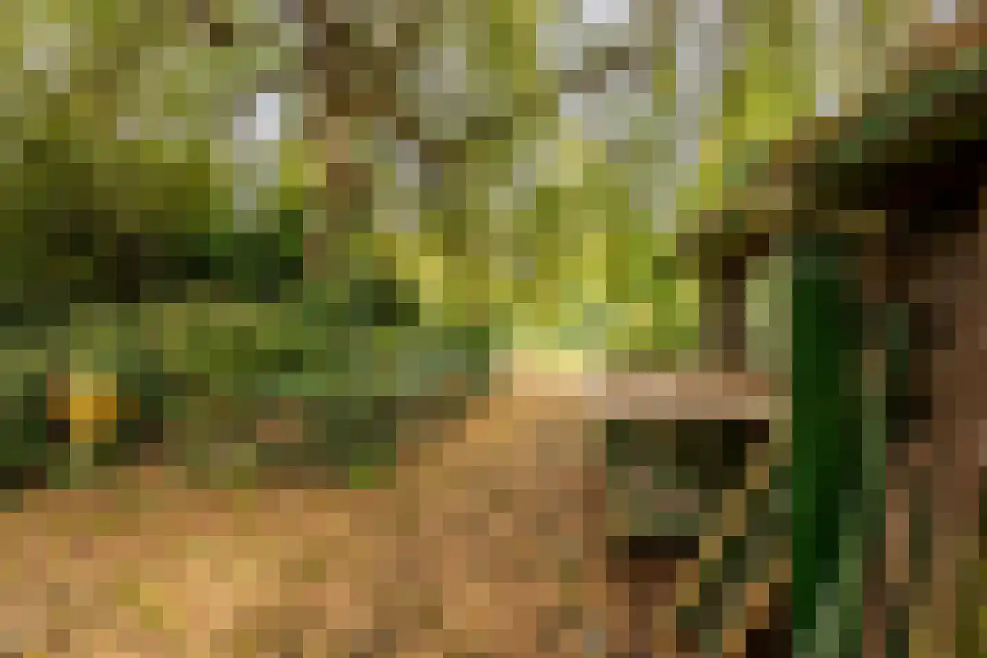 Sportparklaan 17 Heemstede thumbnail 6