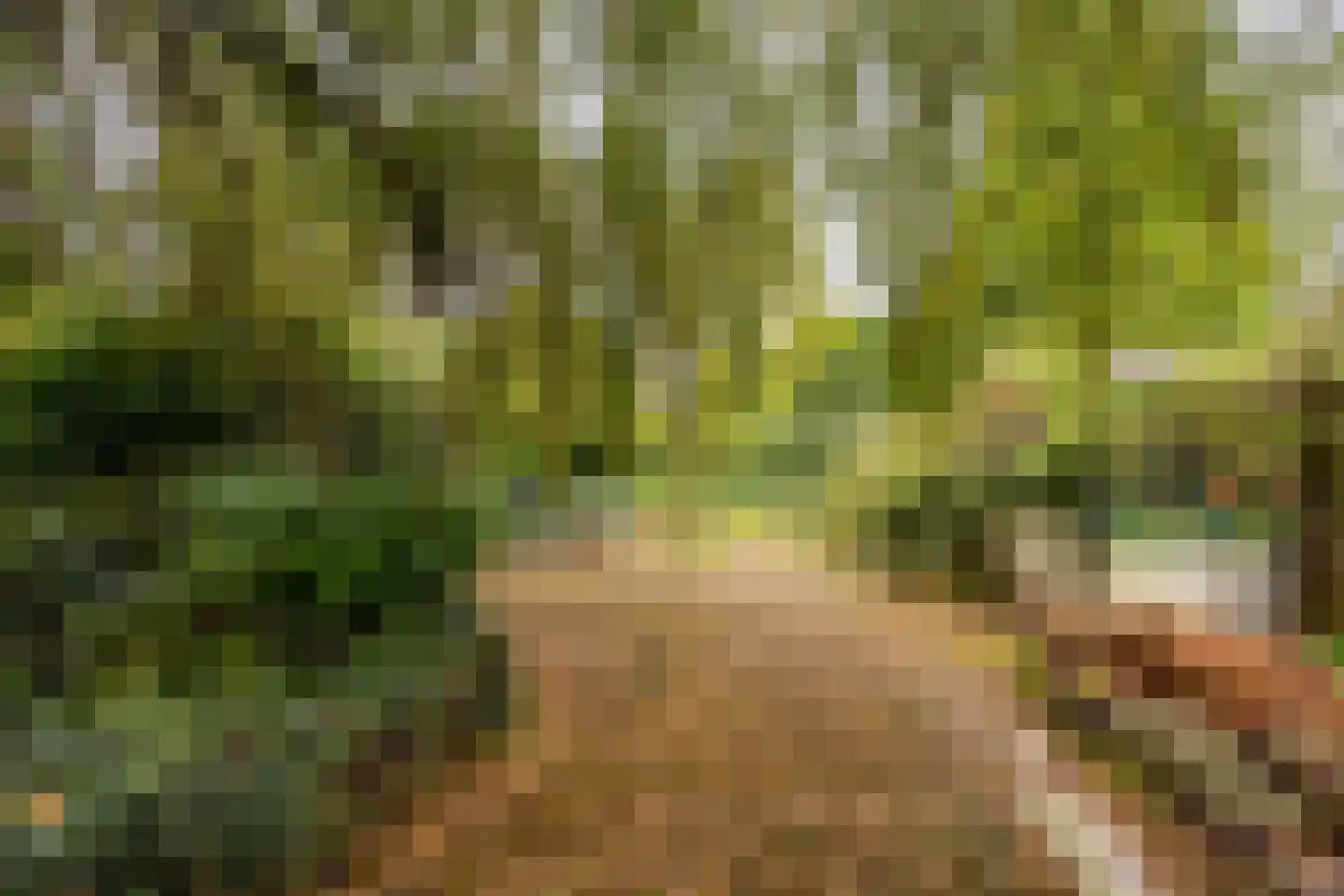 Sportparklaan 17 Heemstede thumbnail 7