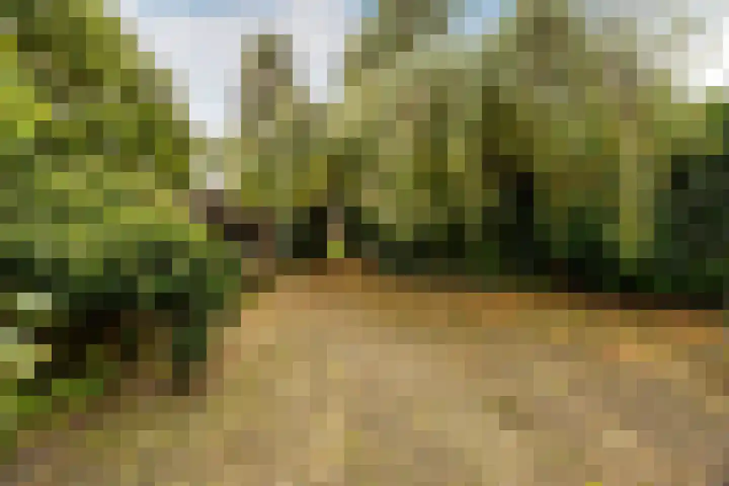 Sportparklaan 17 Heemstede thumbnail 8