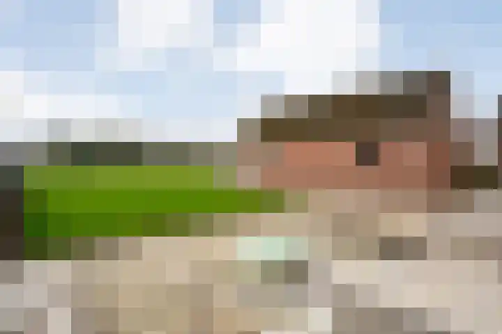Sportparklaan 17 Schoonoord thumbnail 34