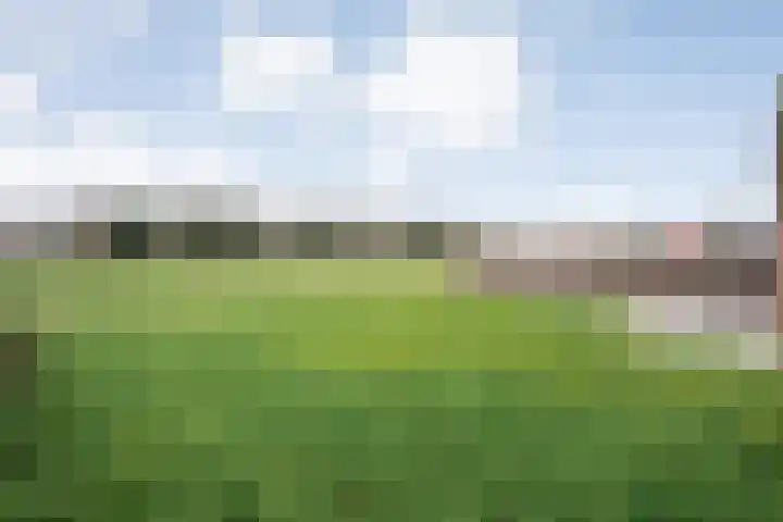 Sportparklaan 17 Schoonoord thumbnail 37