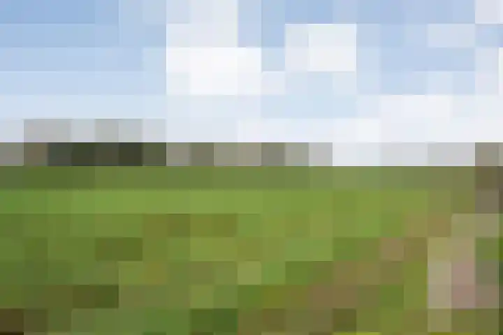 Sportparklaan 17 Schoonoord thumbnail 38