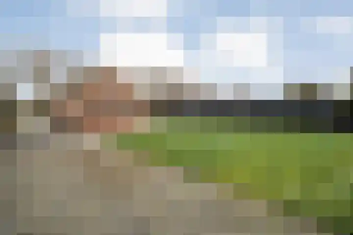 Sportparklaan 17 Schoonoord thumbnail 40